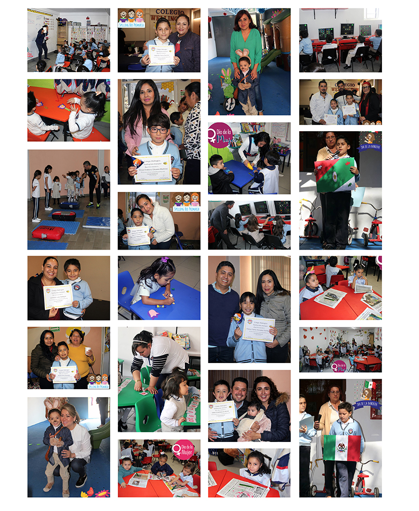 Wellington Galeria 5