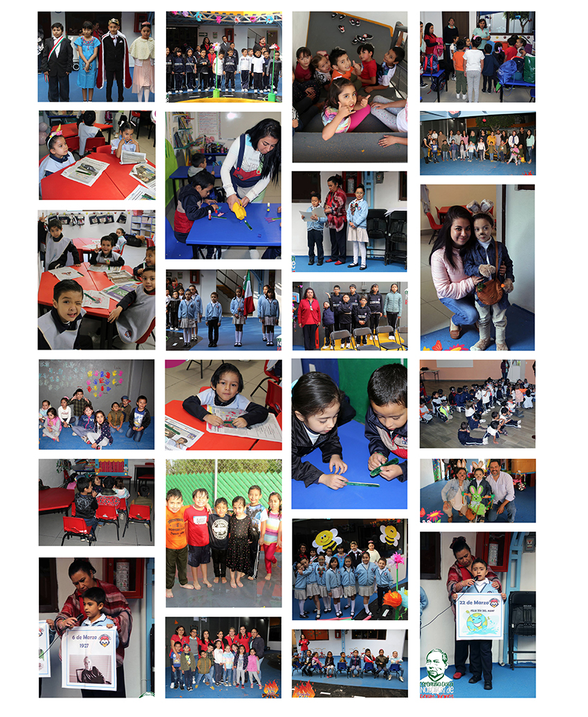 Wellington Galeria 5